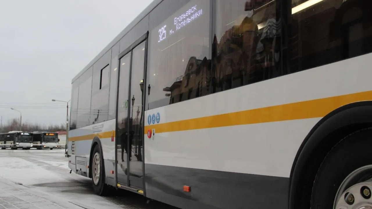 «Мострансавто» напомнило жителям региона о правильной перевозке елок в автобусах