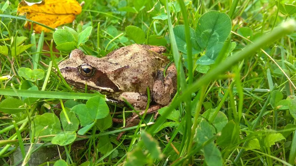 Жигалов Евгений Павлович / Фотобанк Лори