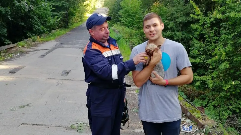 Ступинские спасатели извлекли собаку из водосточной трубы