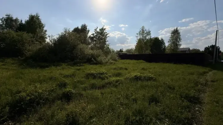 В Истре участок сдали в аренду за 51,5 тыс руб в год