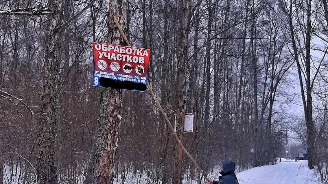 В лесничестве Наро‑Фоминского округа убрали с деревьев рекламу