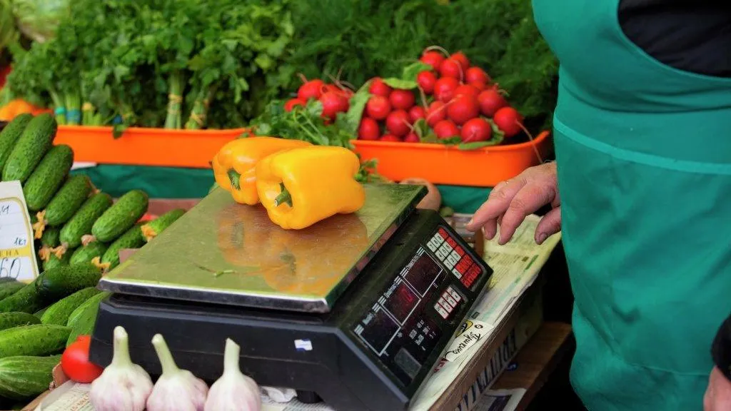 Свыше 4 тонн продуктов продали на ярмарке «Ценопад» в Ступине
