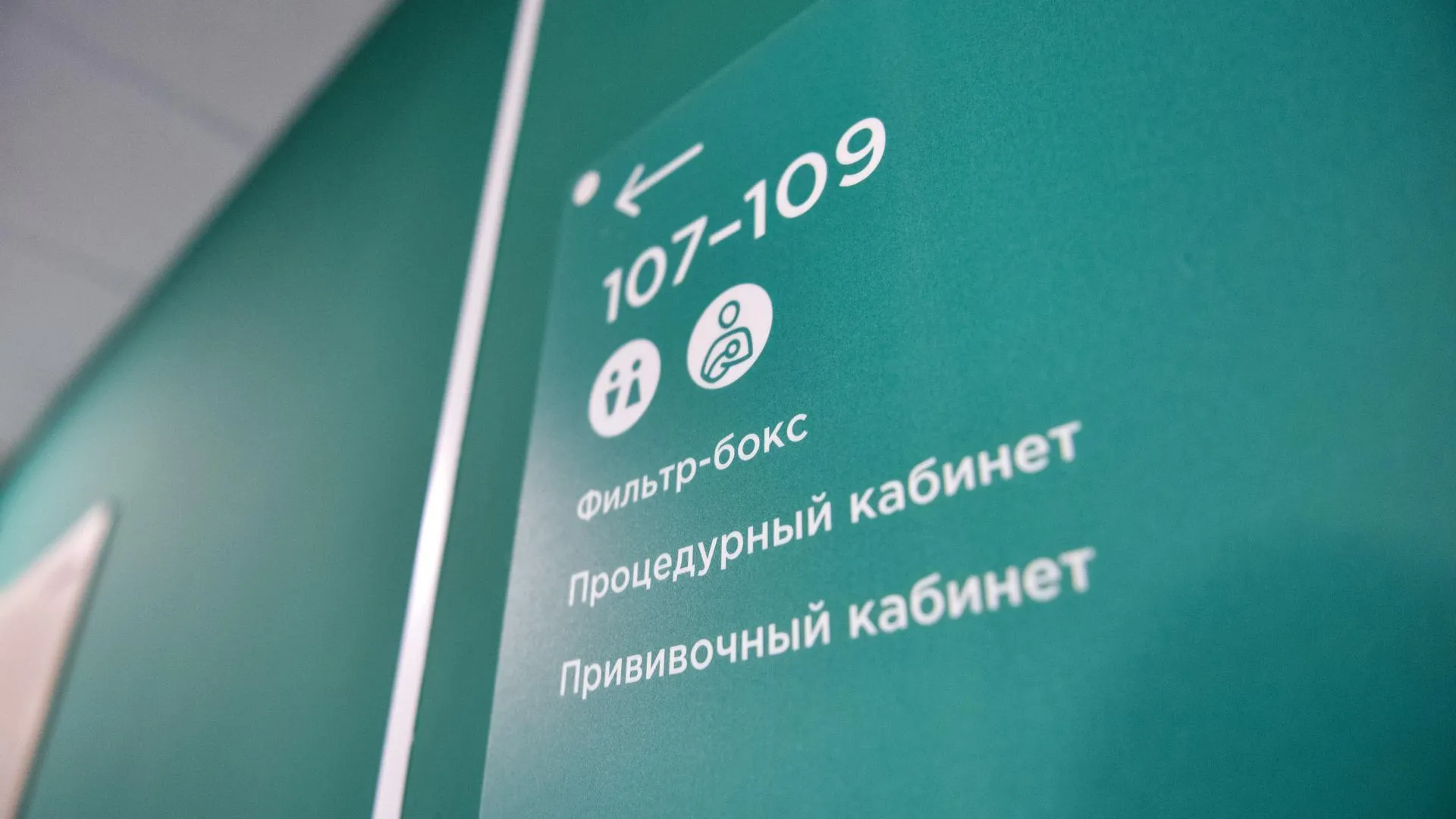 В Балашихе с начала года более 140 человек вакцинировались от клещевого энцефалита