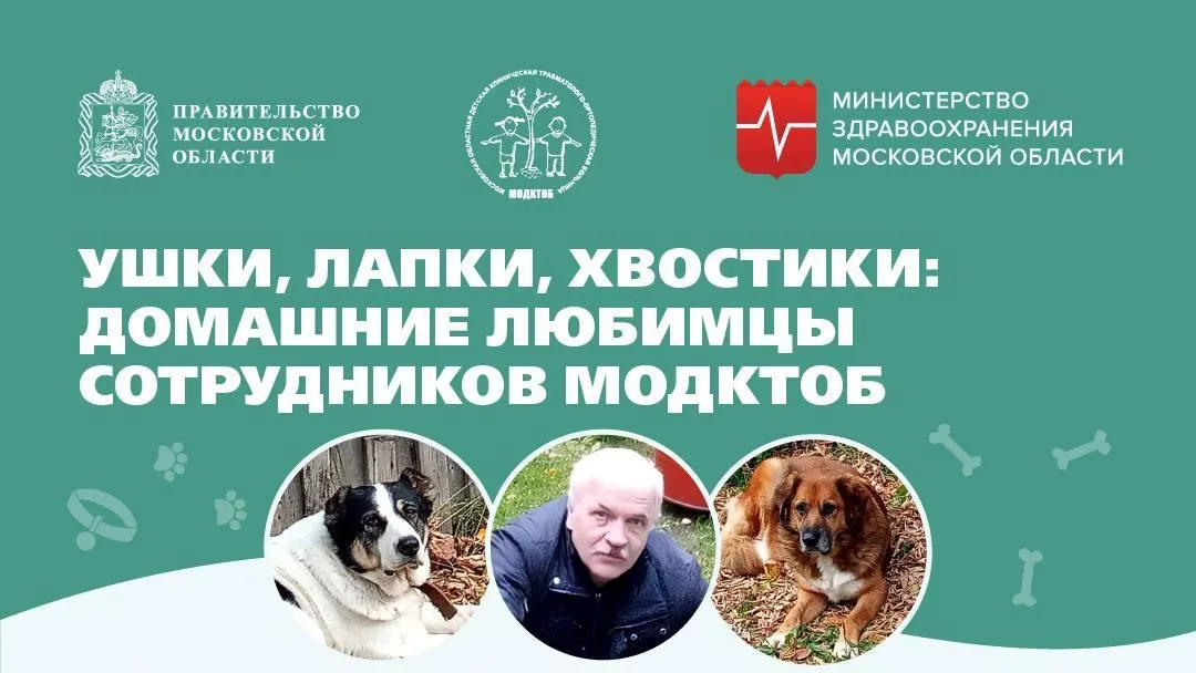 Врачи Подмосковья продолжают делиться рассказами о своих питомцах