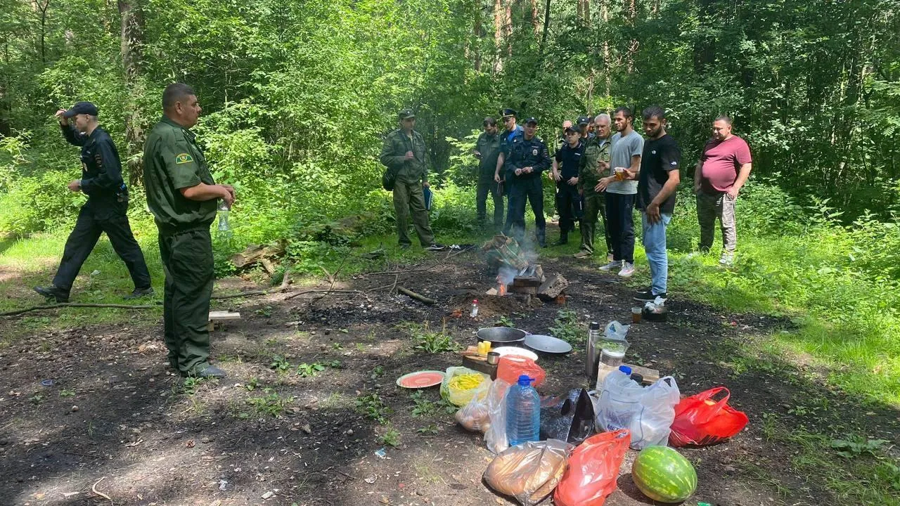 Более 100 дел возбудили в ходе антимусорного рейда в лесах Подмосковья за июль