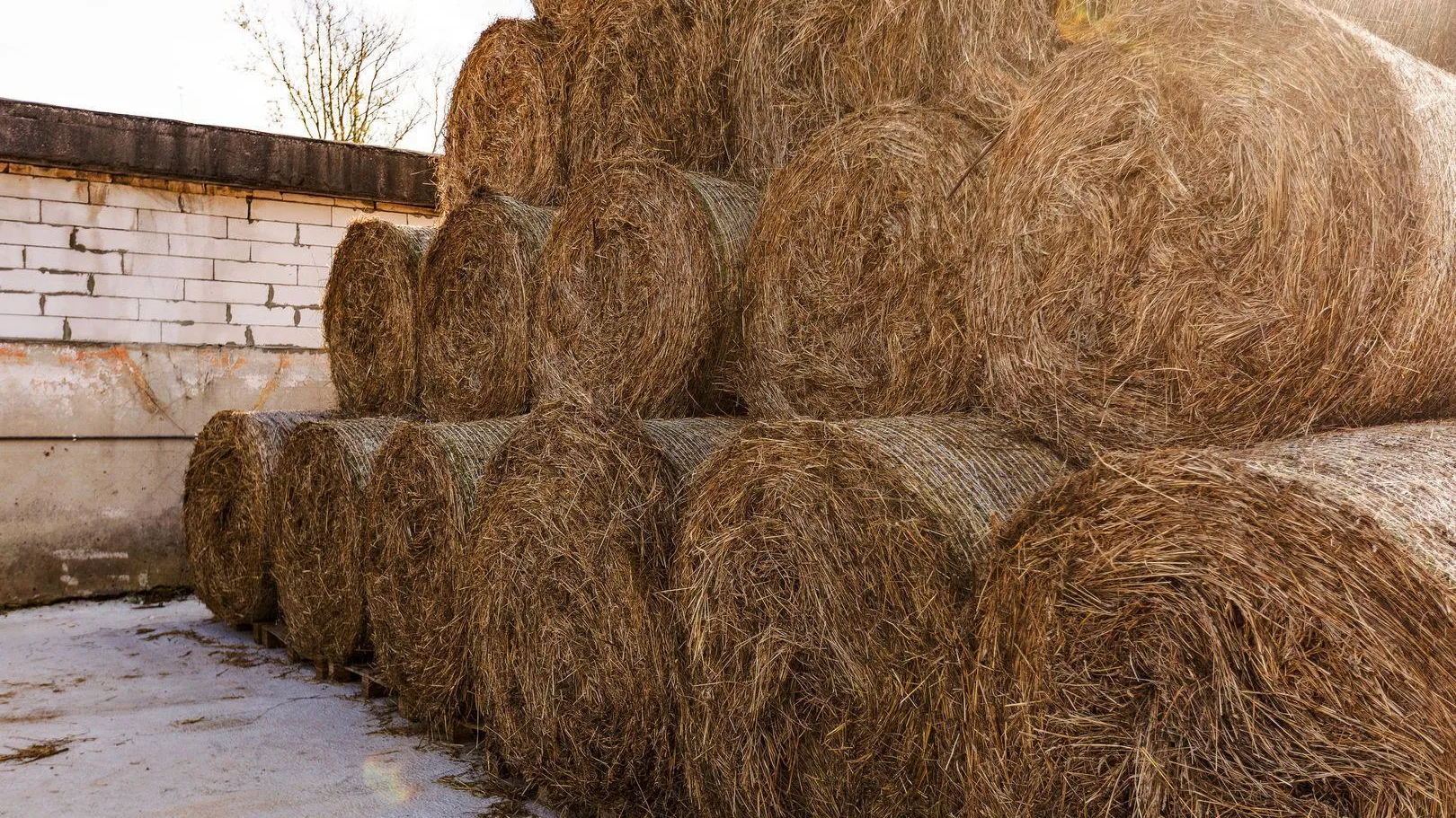 Более 2300 га сельхозземли передали фермерам в Подмосковье в 2025 году