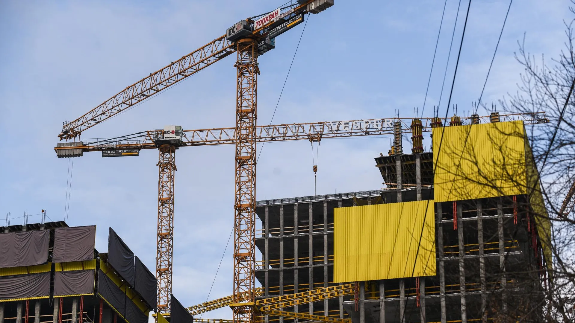 РИАМО, Пелагия Тихонова