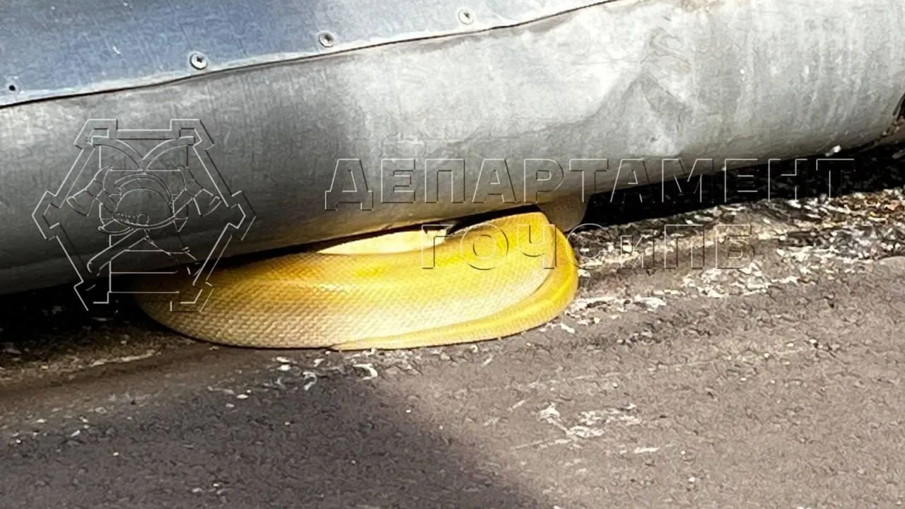 Сбежавшую от хозяйки змею нашли под теплотрассой в центре Москвы