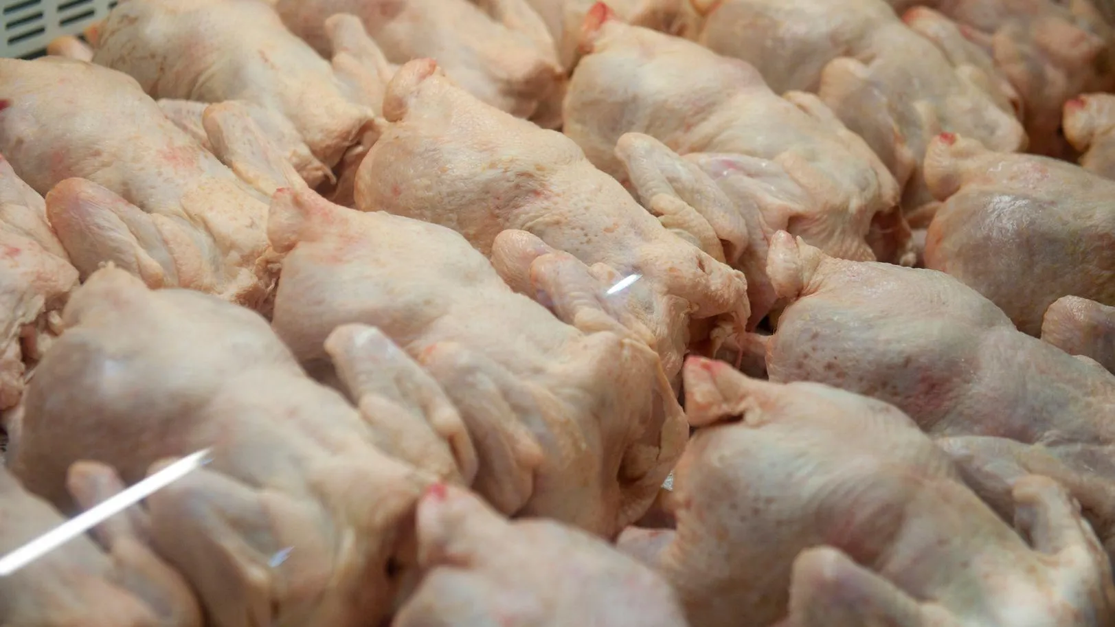 Жители Подмосковья чаще всего покупают мясо птицы