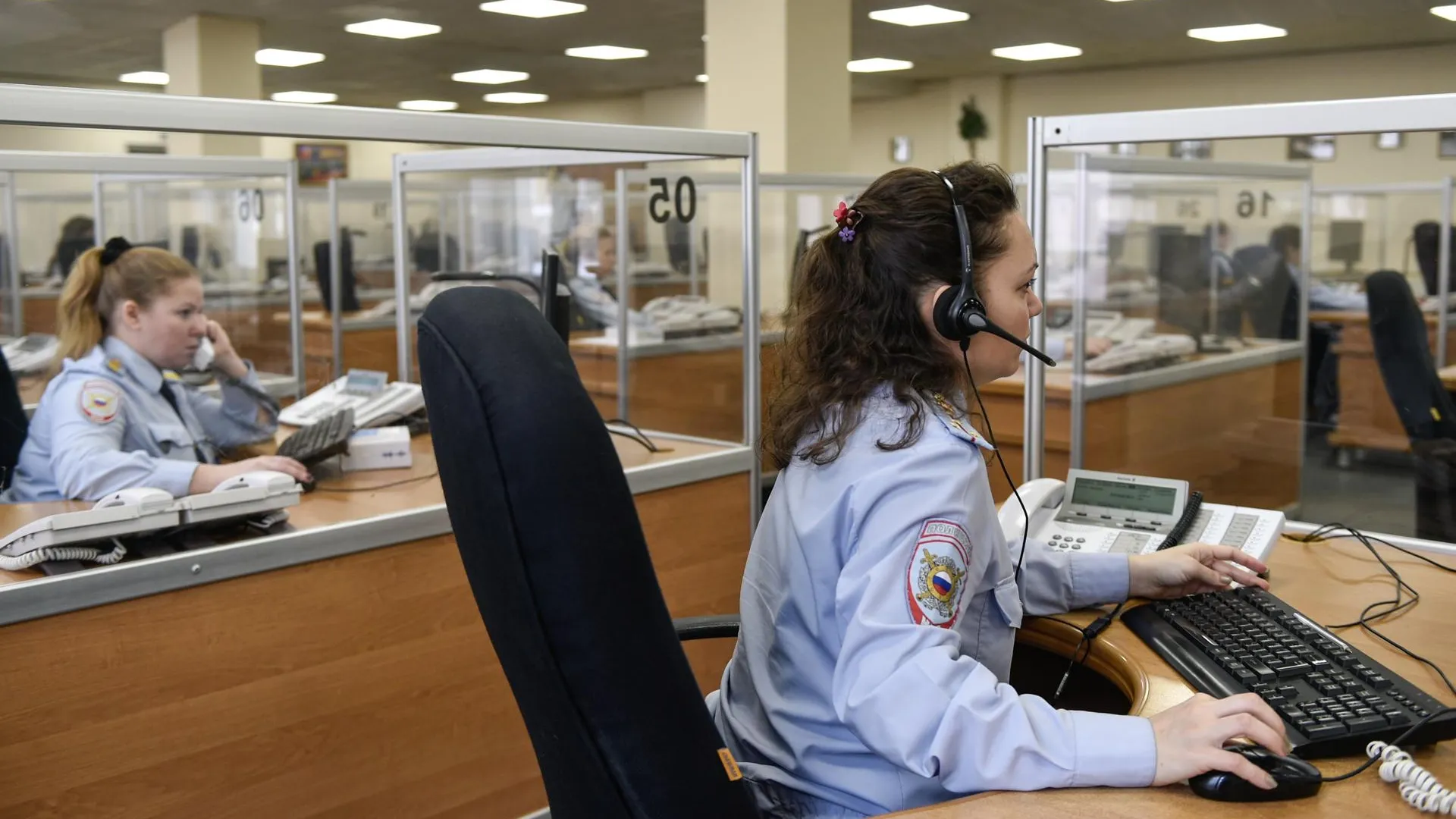 Уголовное дело возбудили на москвича, замучившего до смерти собаку в Подольске
