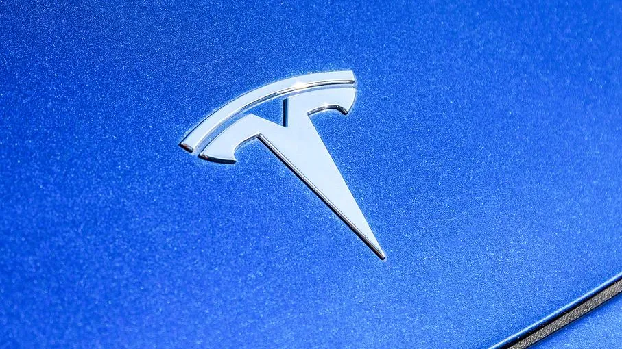 «Илон Маск сошел с ума»: клиенты массово отказываются от покупок Tesla