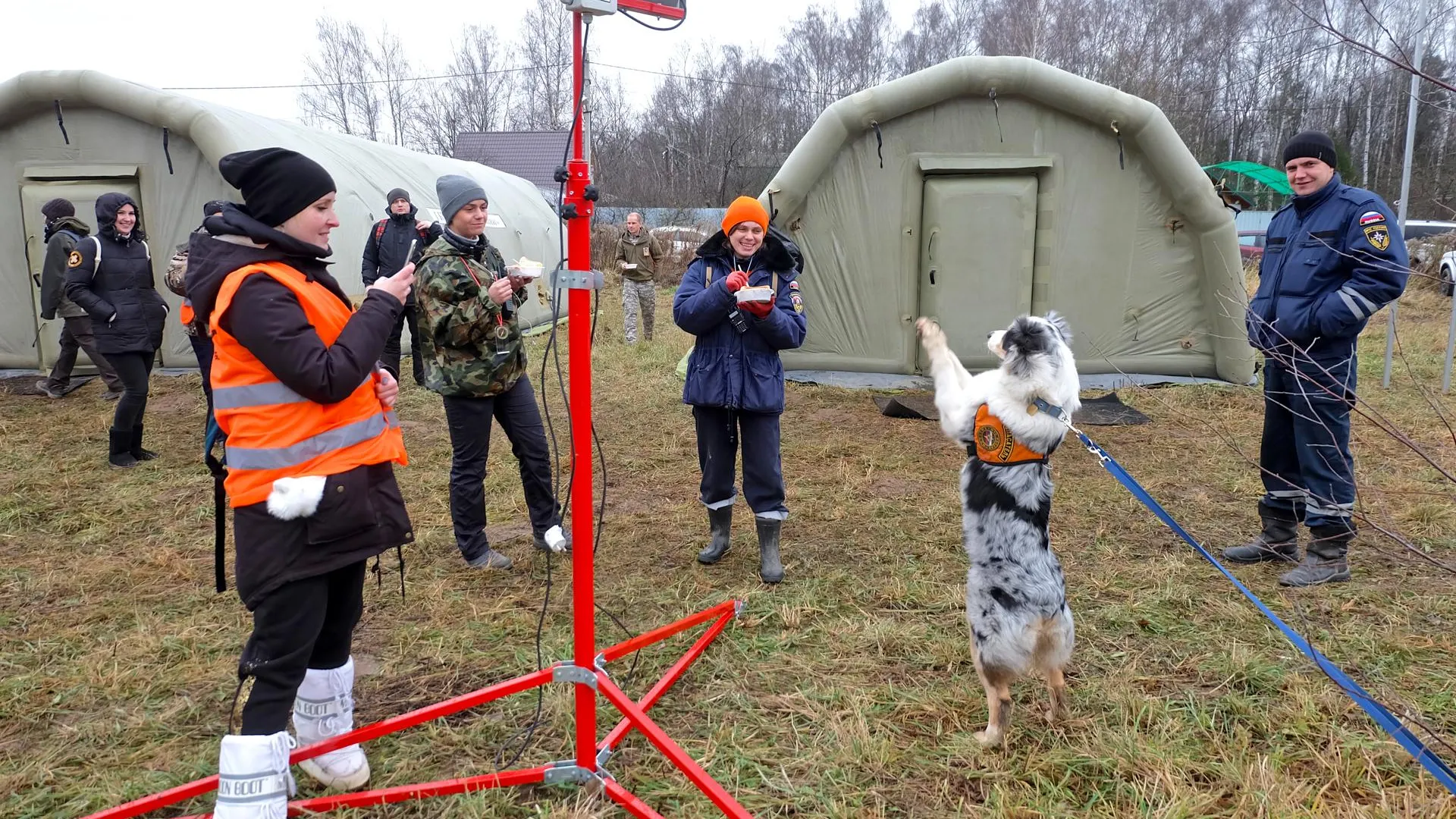 1,3 тыс заявок на поиски людей получил отряд «Лиза Алерт» в Подмосковье с начала 2020 года
