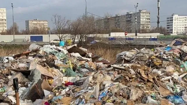 Минэкологии взыщет 3 млн руб ушерба от незаконного размещения отходов в Одинцове