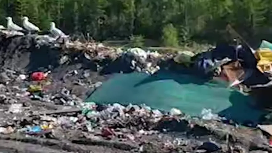 Мусоросжигающие печи тайно установили у берегов Байкала