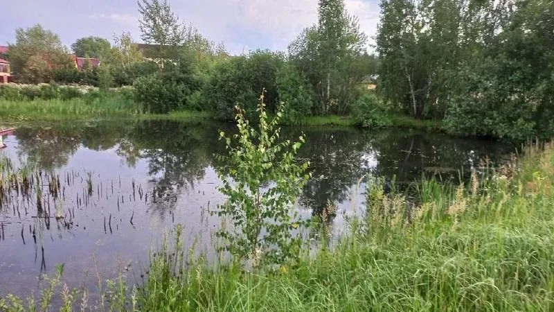 Жителей Подмосковья приглашают принять участие в фотоконкурсе «Природа и климат»