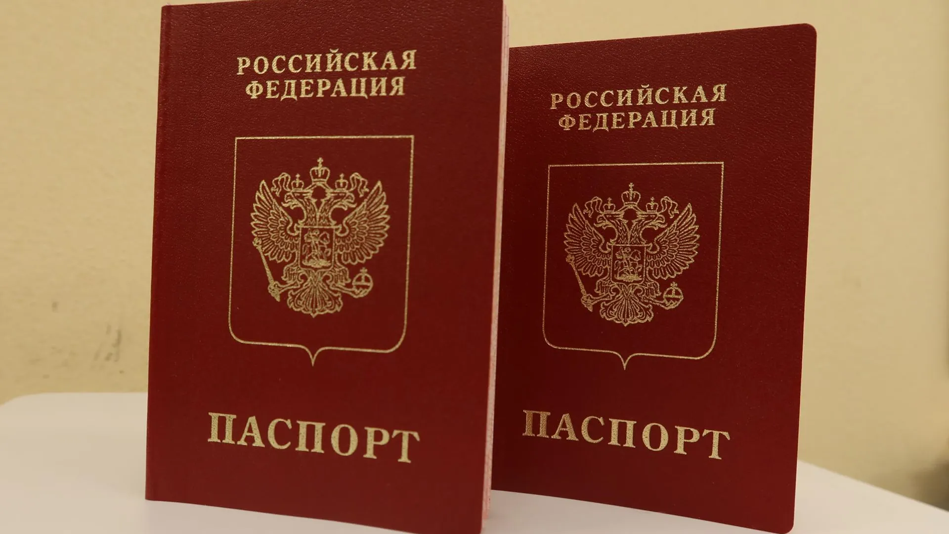 Более 6 тыс загранпаспортов оформили жители Мытищ в МФЦ с начала года