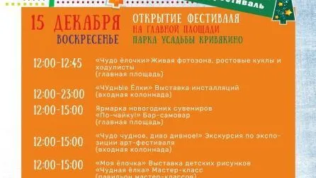 В Воскресенске 15 декабря пройдет арт-фестиваль «ЧУднЫе Елки»