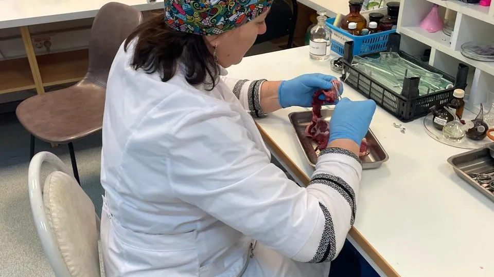 В Подмосковье не реализовали 716 т некачественной продукции животного происхождения