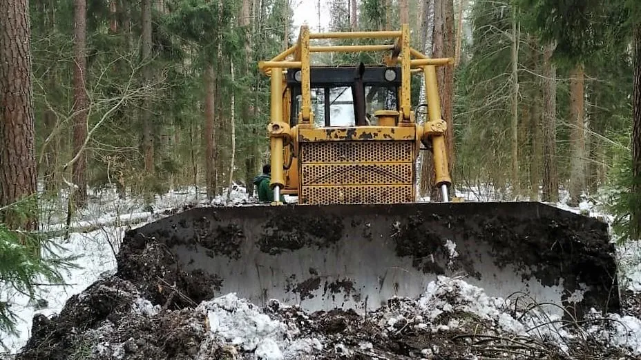 Более 100 км просек прочистили в лесах Подмосковья за две недели