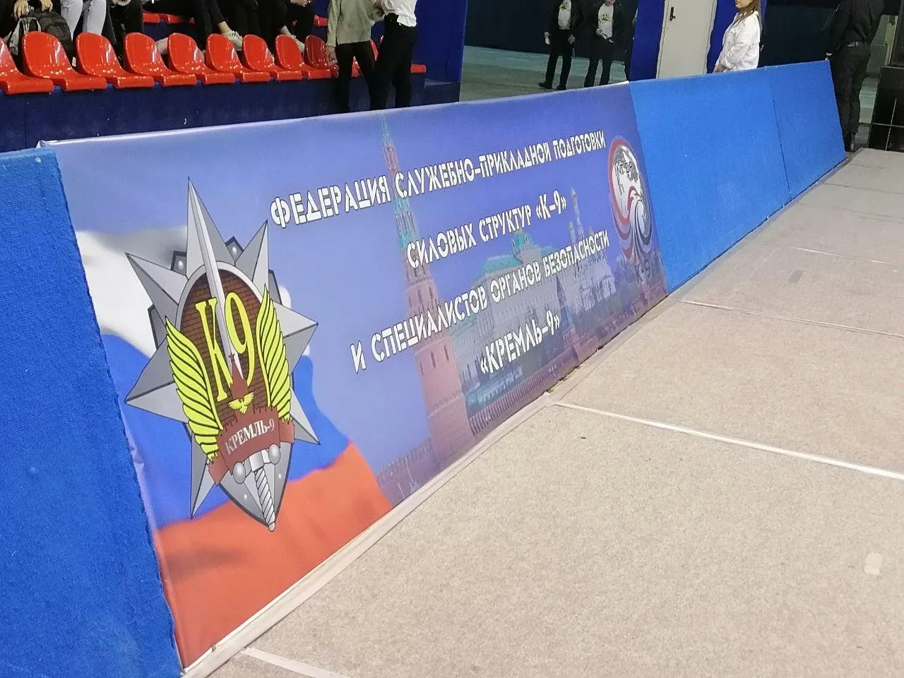 Сергей Дружинин