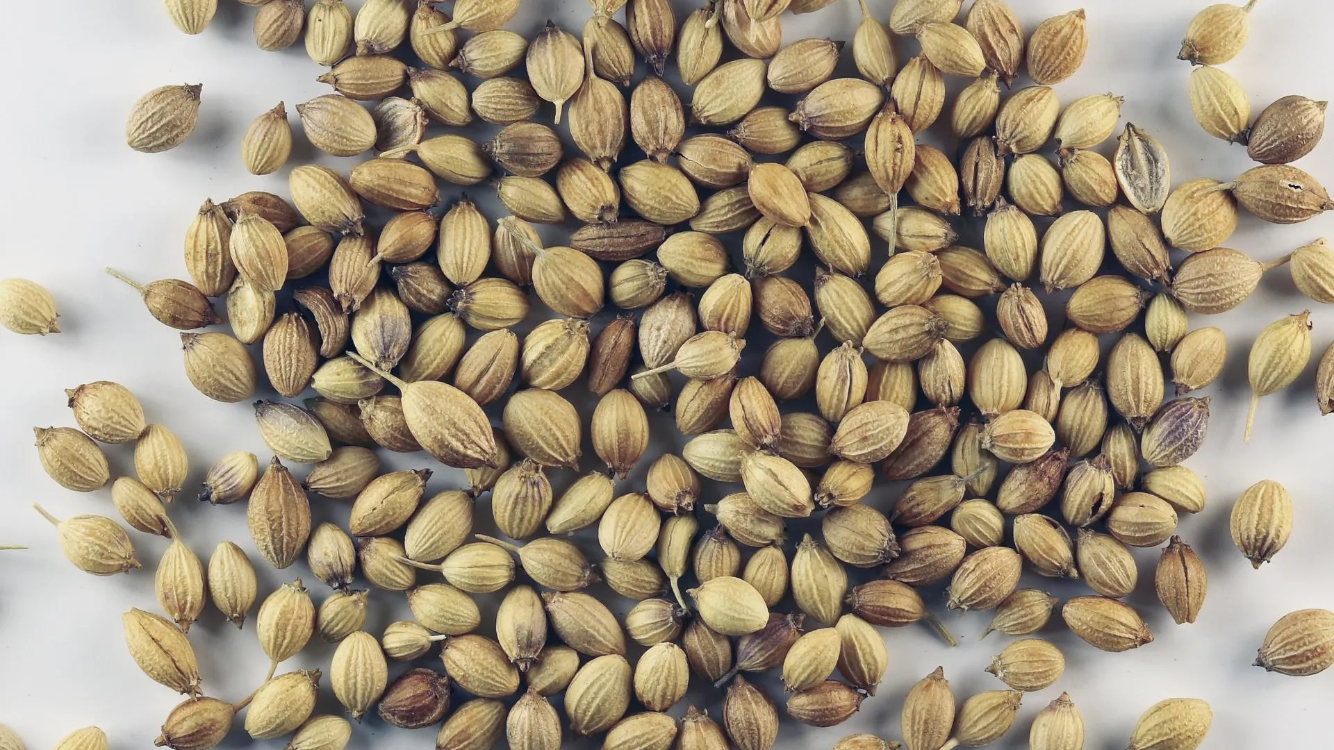 В аэропорту Домодедово пресекли ввоз запрещенной продукции с опасным вредителем