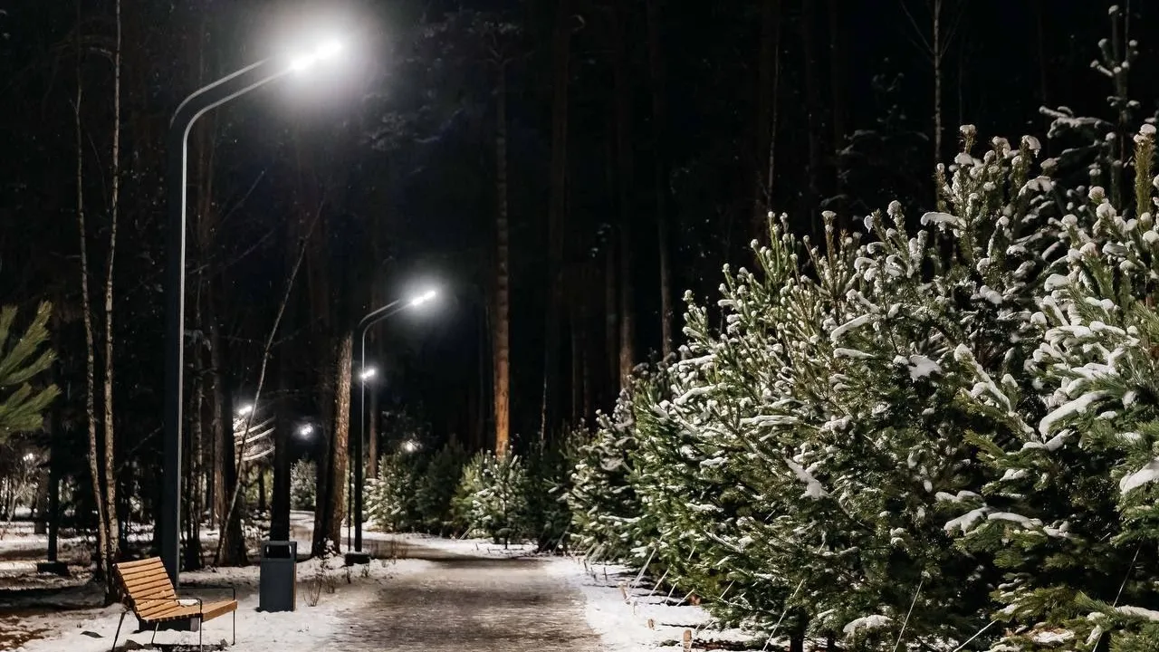 В Орехово-Зуевском округе 13 декабря откроют обновленный лесопарк «Стрелки»