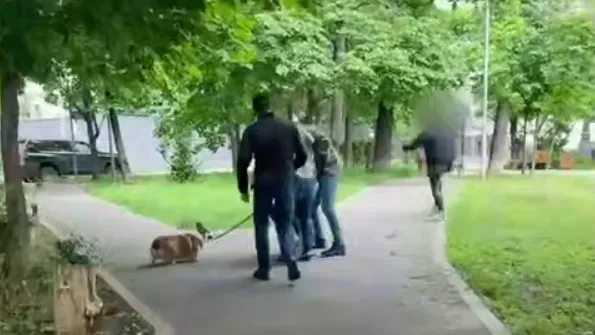 Задержали с корги: ФСБ показала видео поимки готовившей покушение на военного