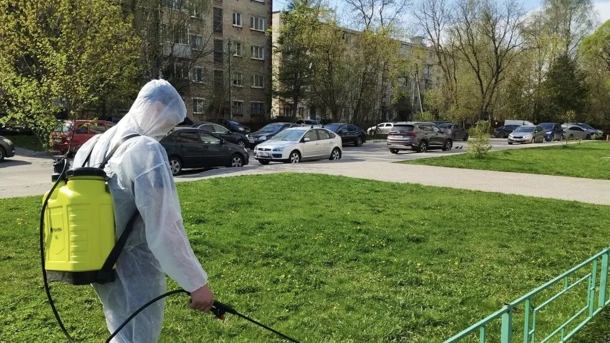 В Подмосковье начали обрабатывать дворы от клещей