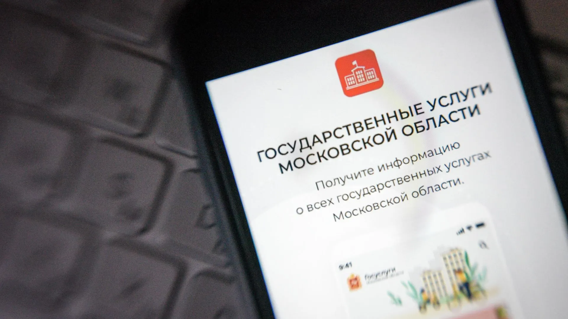 В Подмосковье согласование строительства вблизи аэродромов ДОСААФ доступно на регпортале госуслуг