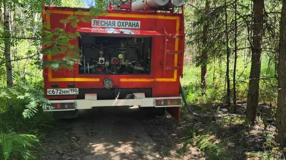 Лесной пожар ликвидировали в Раменском