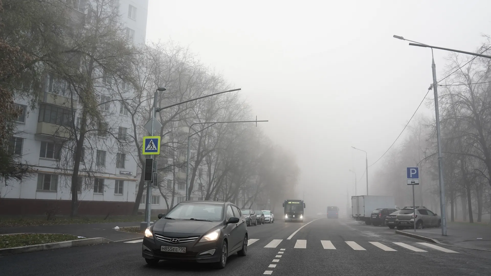 Туман, гололед и гололедица сохранятся в Москве до утра 24 декабря