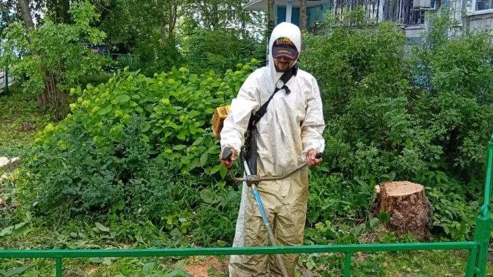 В Подмосковье с начала года газоны покосили более 151 тыс раз