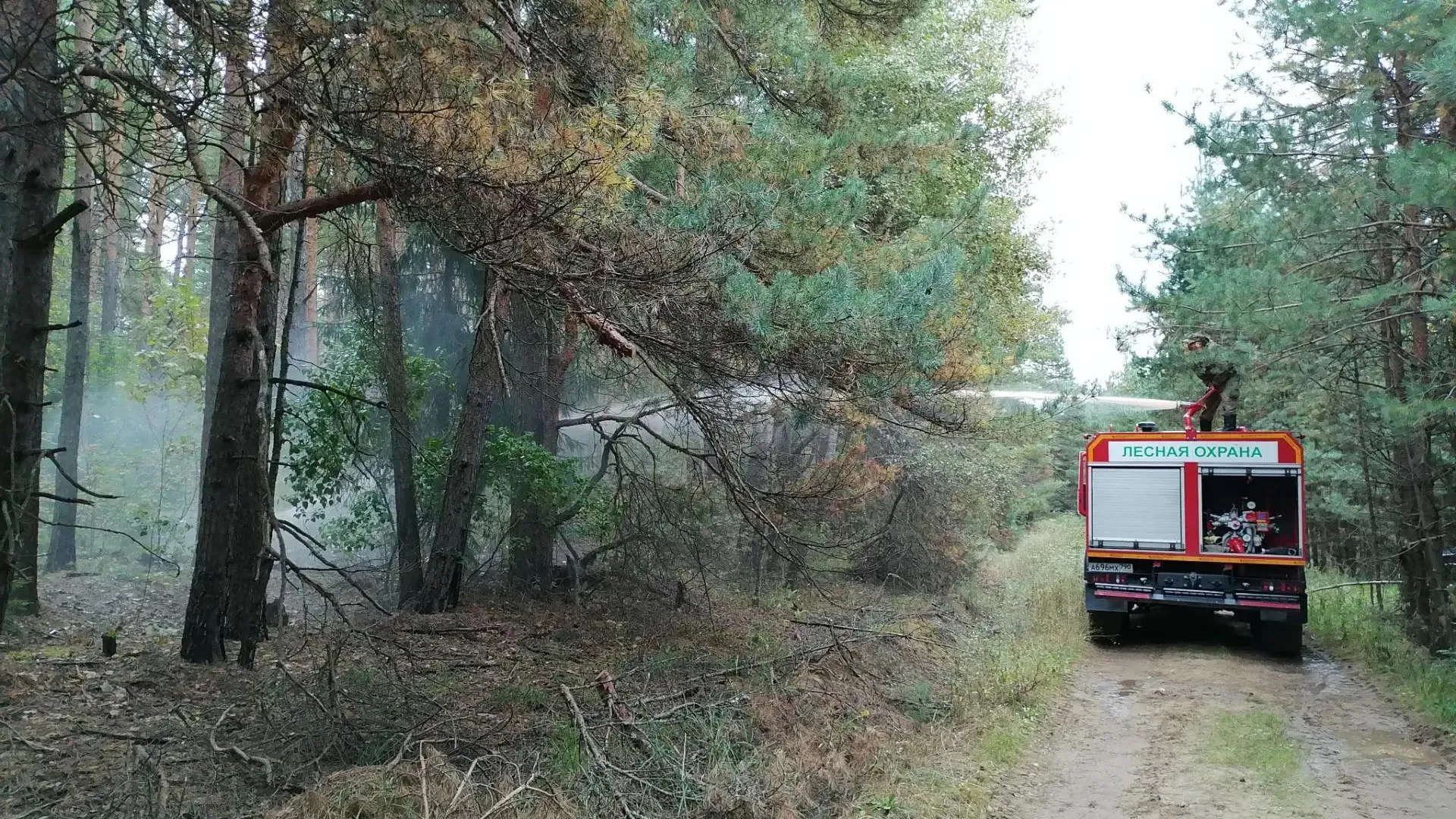 В Егорьевске ликвидировали лесной пожар у деревни Жучата