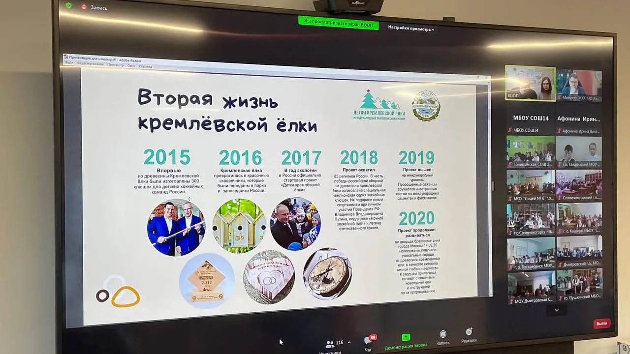 Подмосковным школьникам рассказали, что ждет новогоднюю ель после праздников