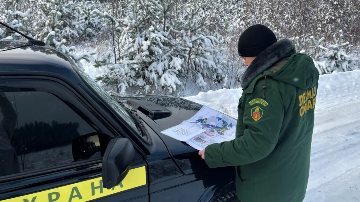Порядка 150 патрулирований провели в Орехово‑Зуевском лесничестве с начала года