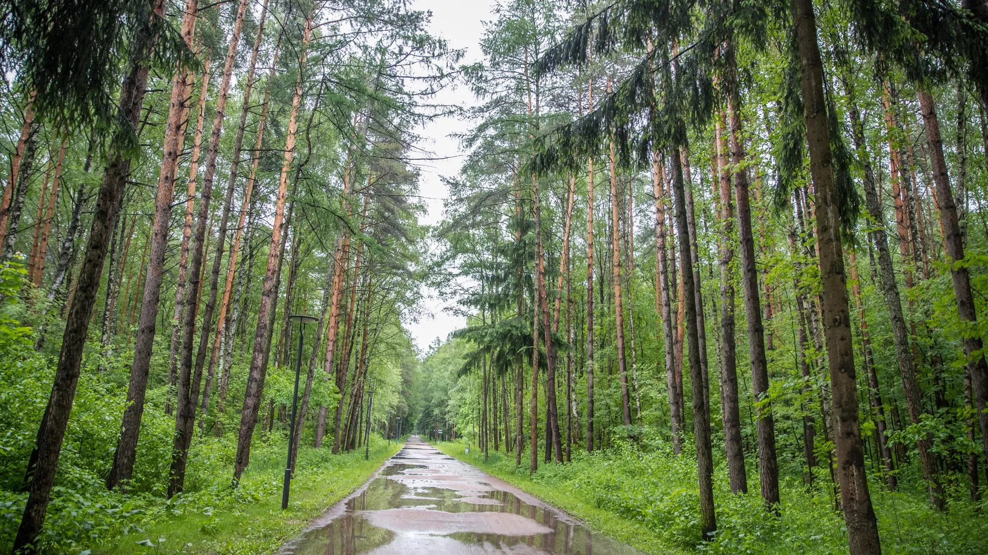 В Одинцовском округе 22 августа проведут забег и плоггинг