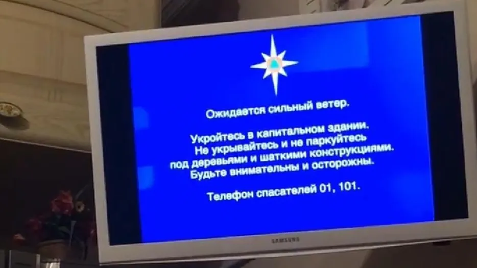 Жителей Московского региона оповестили по ТВ о надвигающейся буре