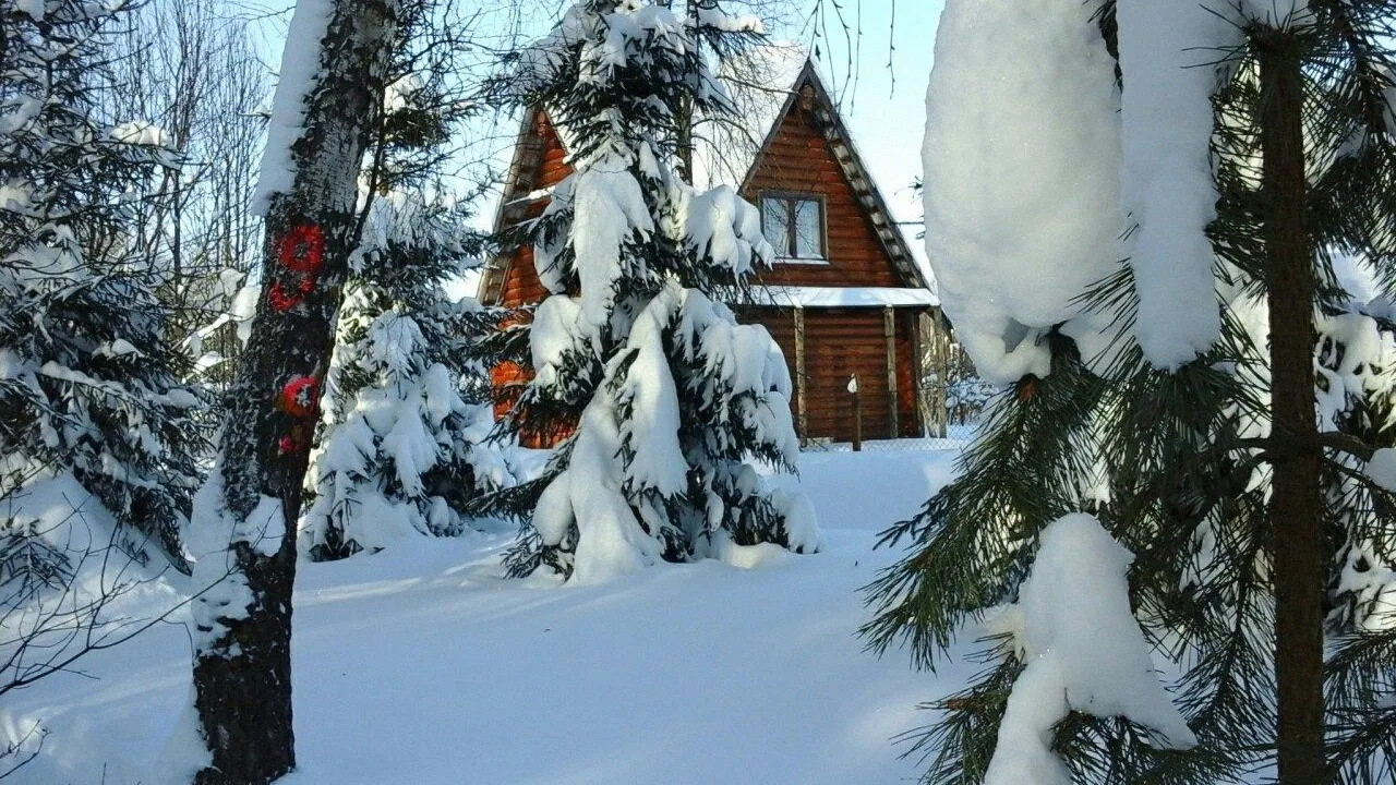 В Ступине ликвидируют 240 аварийных деревьев в 2026 году