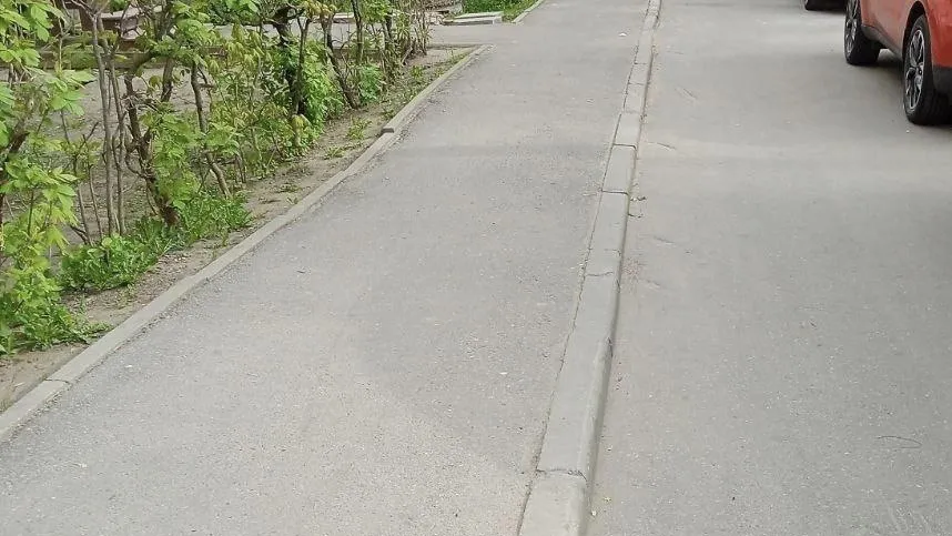 На более 56 тыс территориях Подмосковья провели ручную уборку