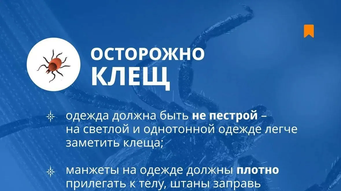 МЧС России напоминает о старте сезона клещей