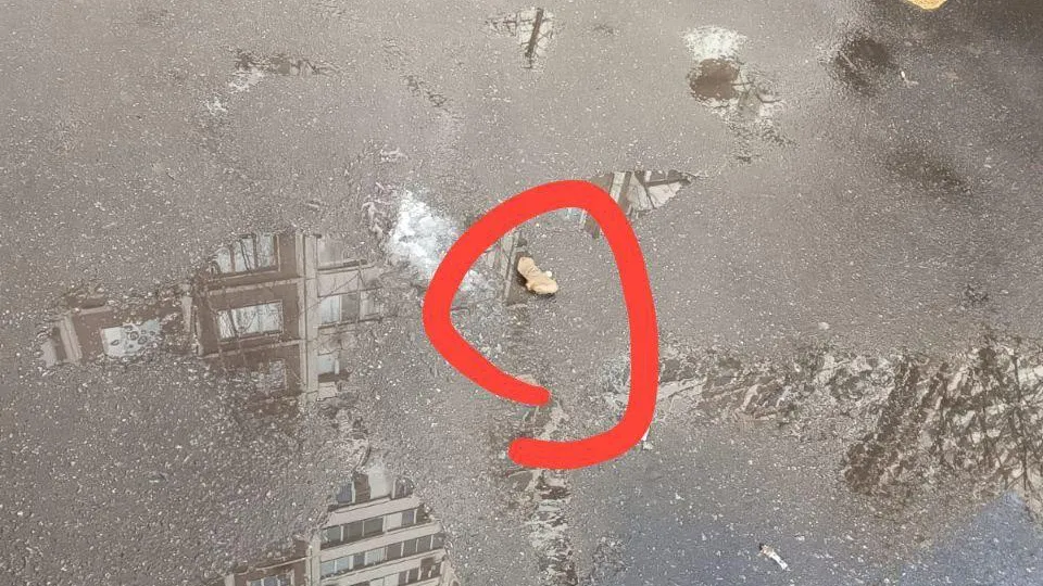 Мину-лепесток нашли на парковке в Москве