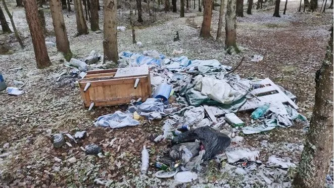 Больше всего навалов мусора в лесах с начала года выявили на территории Одинцова