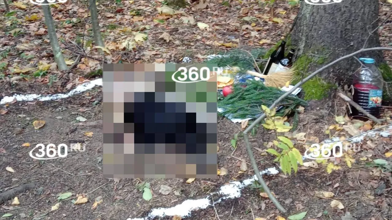 Фото: отрезанную коровью голову нашли в  лесопарке Москвы