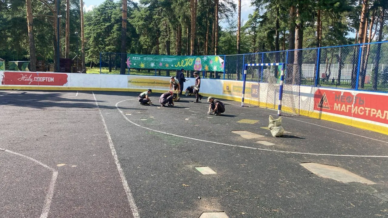 В Кузьминском лесопарке Котельников отремонтировали хоккейную коробку