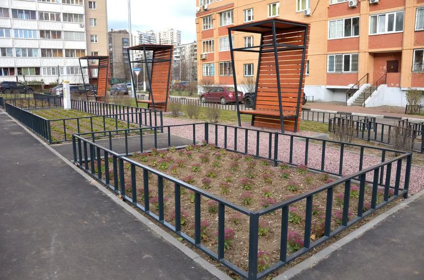 сайт администрации Балашихи, Ирина Зубарева