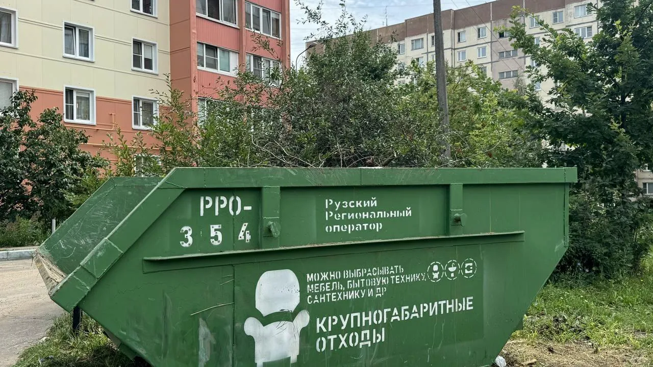 В Подмосковье штрафы за незаконный сброс отходов во дворах достигли 23 млн рублей