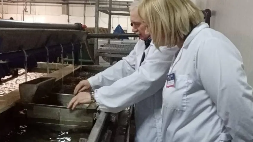 Свыше 330 тонн продукции проверили на рыбоводческих предприятиях Подмосковья в 2021 г