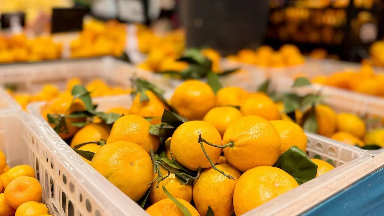 В Минсельхозе Подмосковья назвали страны поставок мандарина и популярные сорта