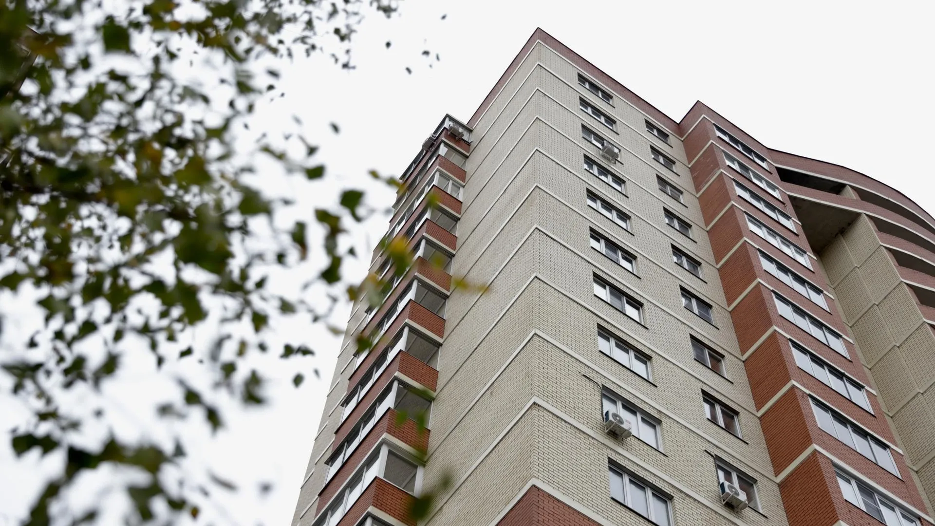 Жители Солнечногорска могут узнать о субсидиях и проверить лицензию УК в «ГИС ЖКХ»