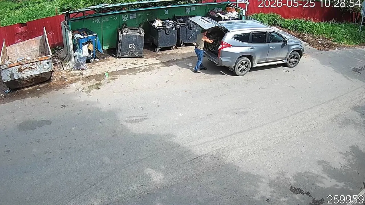 В Подмосковье с 30 июля выявили 348 сбросов мусора у контейнеров